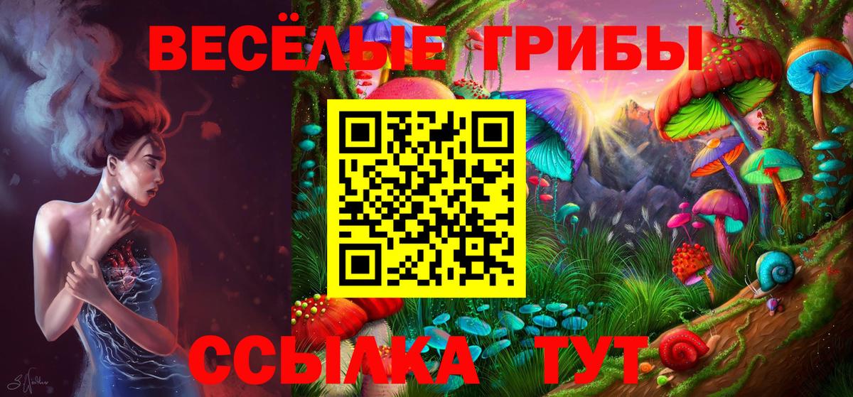 Галлюциногенные грибы ЛСД Анжеро-Судженск