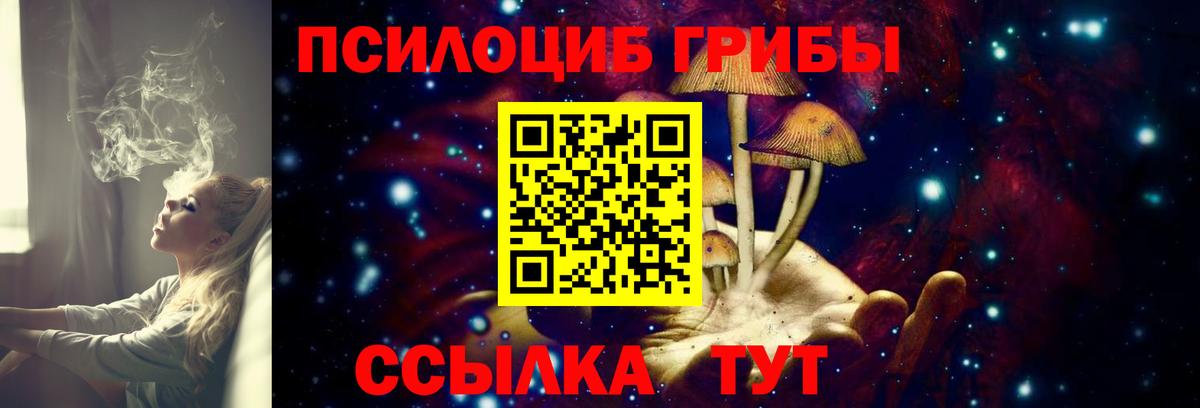 Псилоцибиновые грибы MAGIC MUSHROOMS  Вход с VPN  Анжеро-Судженск  Псилоцибиновые грибы Psilocybine cubensis 